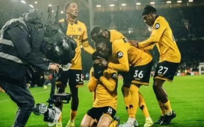 وولفرهامبتون أول الهابطين رسمياً من الدوري الإنجليزي إلى التشامبيونشيب