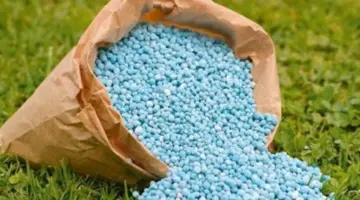 يقترب من 800 جنيه، تراجع أسعار الأسمدة اليوم في الأسواق