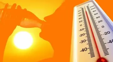 5 أيام طوارئ جوية.. الأرصاد تعلن تفاصيل طقس الأسبوع المقبل – نمبر١ نيوز