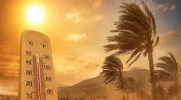 أجواء حارة ورياح قوية مرتقبة غدا الجمعة بالمغرب