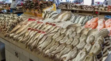 أسعار الأسماك اليوم السبت 2 مايو 2026 في سوق الجملة بمدينة العبور
