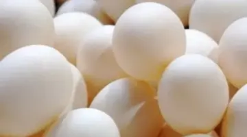 أسعار البيض في سوهاج اليوم.. الأبيض والأحمر بـ 110 جنيهات