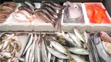 أسعار السمك اليوم، ارتفاع البلطي والكابوريا وانخفاض 6 أنواع منها الجمبري والبوري