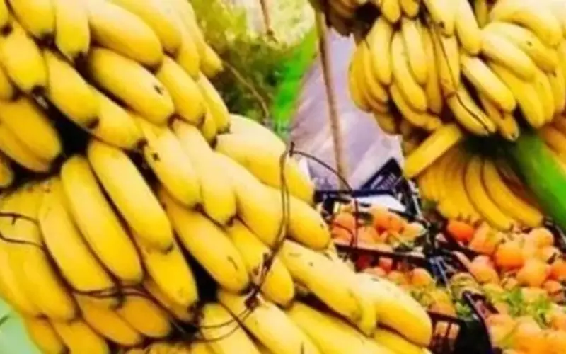 أسعار الفاكهة بسوهاج اليوم.. الموز بـ 20 جنيها للكيلو