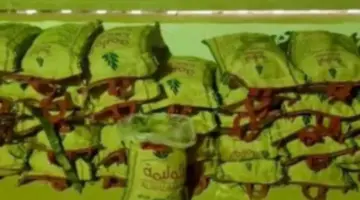 إحباط تهريب مواد كيميائية شديدة الخطورة عبر منفذ الوديعة بحضرموت