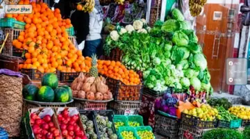 استقرار أسعار الخضراوات والفاكهة في مصر اليوم يعكس وفرة المعروض بالموسم الراهن