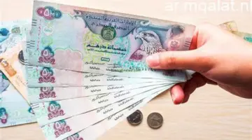 استقرار في سعر الدرهم الإماراتي اليوم.. آخر تحديث الجمعة 1-5-2026 – مقالات نيوز