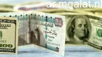 استقرار في سوق الصرف.. سعر الدولار اليوم الجمعة 1-5-2026 بالبنوك – مقالات نيوز