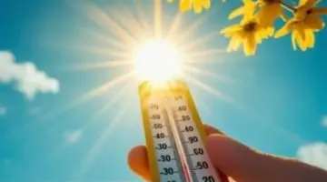 الأرصاد تُحذّر: رياح مثيرة للأتربة وانخفاض الرؤية على هذه المناطق اليوم