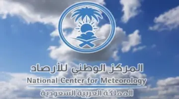 الأرصاد: رياح نشطة وأتربة على 8 مناطق واستمرار السحب الرعدية الممطرة جنوب غرب المملكة