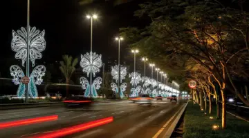 الإمارات تزهو في عيد الأضحى بالفرح وعناقيد النور