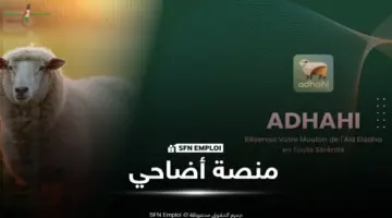 الجزائر تتجاوز مليون رأس غنم للاستيراد بهدف تعزيز مخزون الأضاحي ومنصة أضاحي تنظم عمليات التسجيل