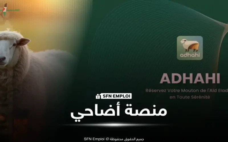 الجزائر تتجاوز مليون رأس غنم للاستيراد بهدف تعزيز مخزون الأضاحي ومنصة أضاحي تنظم عمليات التسجيل