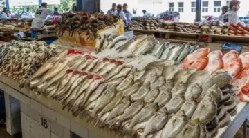الجمبري بـ 900 جنيه.. أسعار الأسماك اليوم الجمعة 22 مايو 2026