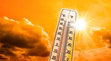 الحرارة تتخطى معدلاتها.. إليكم طقس الأيام المقبلة