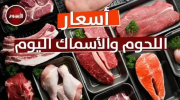 السجق البلدي بـ 320 جنيهًا.. أسعار اللحوم اليوم الخميس 14 مايو 2026