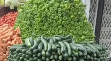 الطماطم بـ 25 جنيها.. اطلع على أسعار الخضار اليوم بسوهاج
