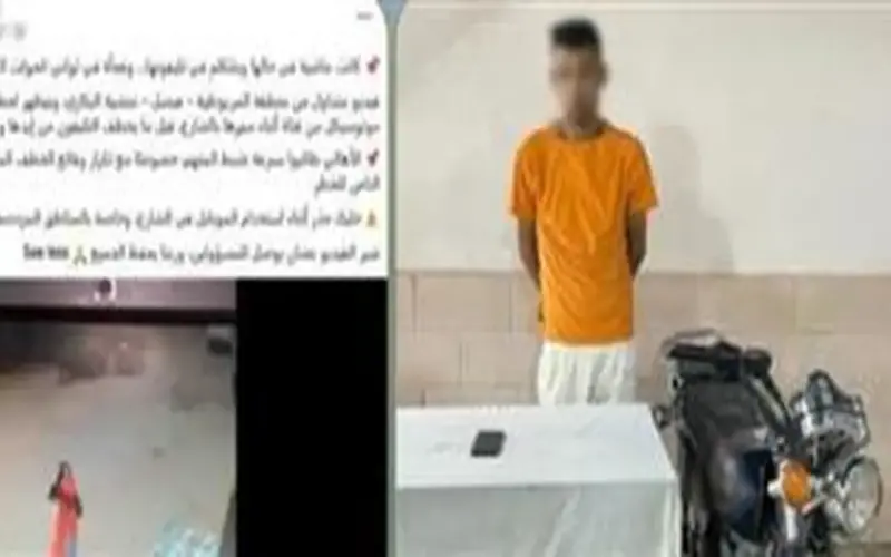 القبض على المتهم بسرقة هاتف طالبة أثناء سيرها بالجيزة