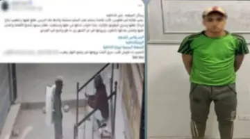 القبض على جامع خردة شرع في سرقة هاتف محمول طالبة ورشقها بالحجارة في الشرقية