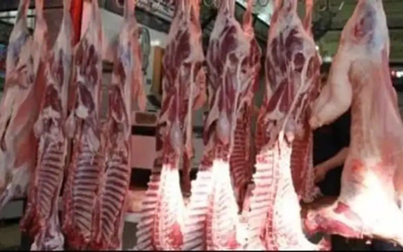 اللحمة بـ270 جنيها.. أسعار اللحوم في كفر الشيخ الجمعة 1 مايو 2026