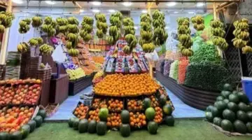 الموز يبدأ من 25 جنيهًا بأسواق سوهاج حاليًا