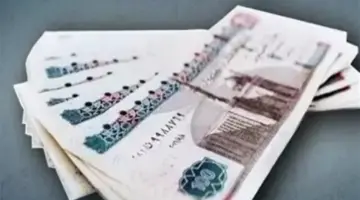 بالأرقام.. تفاصيل الحد الأدنى للأجور للدرجات الوظيفية من السادسة وحتى الممتازة
