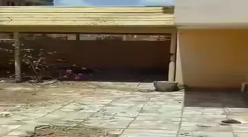 بالدموع.. مطرب سوداني يوثق عودته إلى منزله في الخرطوم بعد الحرب
