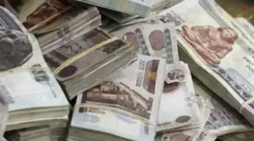 بالرقم القومي.. خطوات الاستعلام عن قيمة معاش شهر يونيو 2026 إلكترونياً