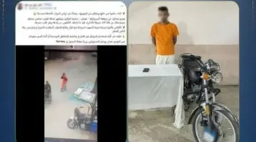 بعد نشره بـ”اليوم السابع”.. الداخلية تضبط المتهم بسرقة هاتف فتاة بالهرم