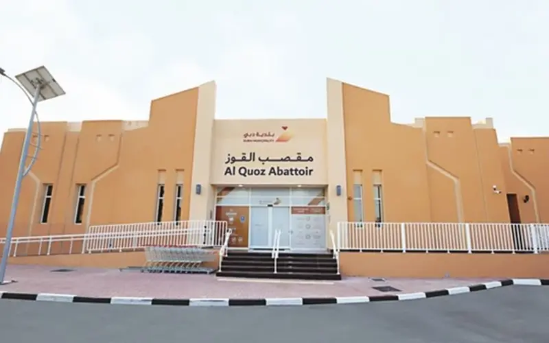بلدية دبي تعتمد 3 تطبيقات ذكية لطلب الذبائح خلال عيد الأضحى