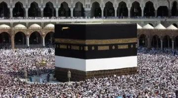 بينها العامية المصرية.. السعودية تطلق مكتبة صوتية بمختلف لغات العالم لتوعية الحجاج فقهيا | فيديو