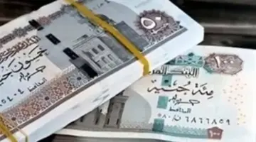 تحديث بيانات البطاقات التموينية: ضرورة تقنية لضمان استمرار الصرف