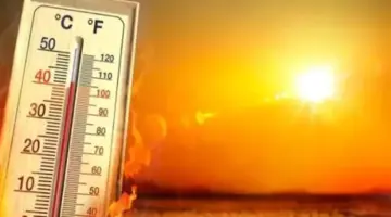 تحذير من شبورة كثيفة على الطرق السريعة.. إرشادات الأرصاد للسائقين في الساعات الأولى