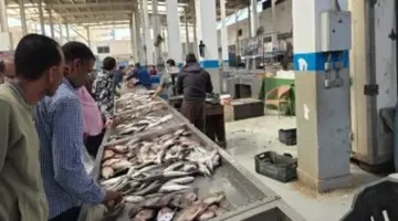 تعرف على أسعار الأسماك بالإسماعيلية اليوم الخميس