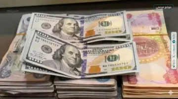 ثبات سعر الدولار اليوم في العراق 6 مايو 2026 رغم اتساع الفجوة مع السعر الرسمي – موقع مرجعي الإخباري