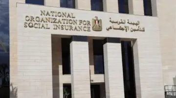 ثورة في المعاشات.. الهيئة القومية للتأمين الاجتماعي تُنهي مليون طلب عبر المنظومة الجديدة