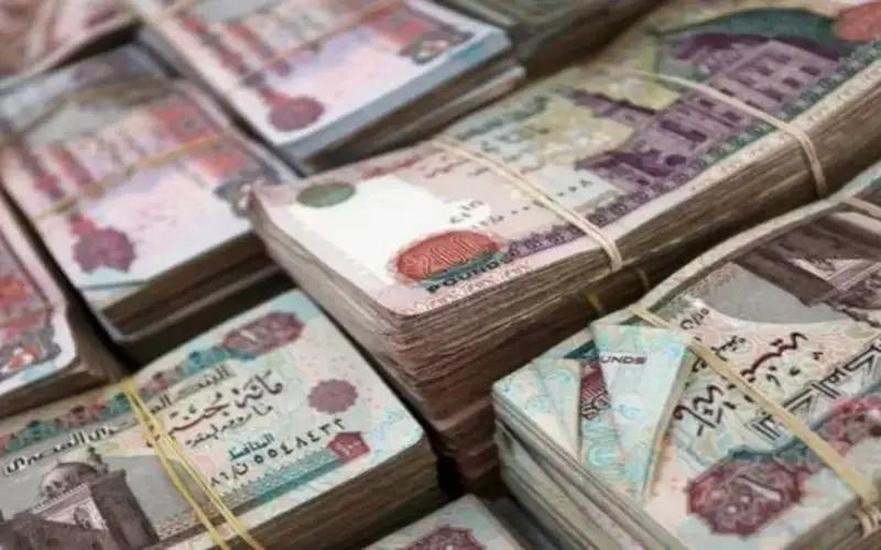 جدول صرف مرتبات شهر مايو 2026 «خاص وحكومي».. الموعد الرسمي بعد قرار التبكير