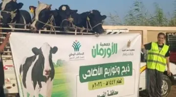 جمعية الأورمان عضو التحالف الوطني تُطلق حملة نحر الأضاحي خلال فعاليات العيد