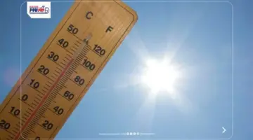 حالة الطقس اليوم.. ربيعي مائل للحرارة نهارًا مع شبورة ورياح واضطراب الملاحة
