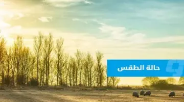حالة الطقس في ليبيا (السبت 16 مايو 2026)