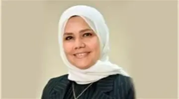 رئيس الضرائب: إطلاق تطبيق للتحقق من شهادات تسجيل ضريبة القيمة المضافة والسجائر
