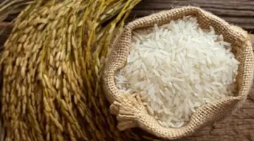 سعر الأرز الشعير اليوم في الأسواق.. الحبة العريضة والرفيعة بكام؟ – الأسبوع