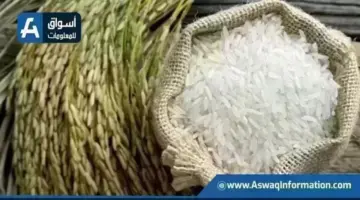 سعر الأرز اليوم الخميس عند التاجر.. بكام طن الشعير؟ | أسعار السلع