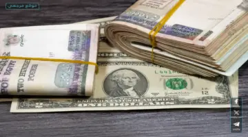سعر الدولار في مصر اليوم يصعد بالبنوك مع تحسن الاحتياطي وتحويلات قياسية – موقع مرجعي الإخباري