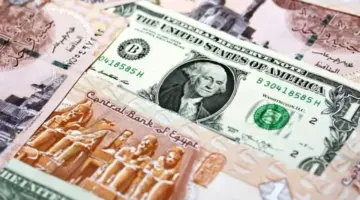 سعر الدولار مقابل الجنيه اليوم الاثنين في مصر.. الأخضر بكام؟