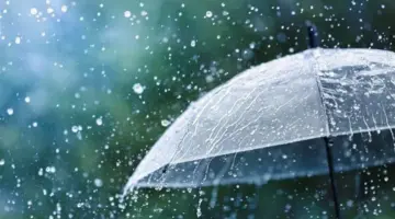 شبورة ورياح.. تفاصيل حالة الطقس المتوقعة غدا ودرجات الحرارة