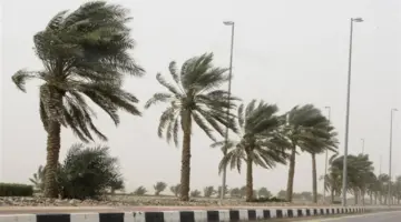 شبورة ورياح.. ما المتوقع بشأن حالة الطقس غدا الجمعة؟.. “الأرصاد توضح”