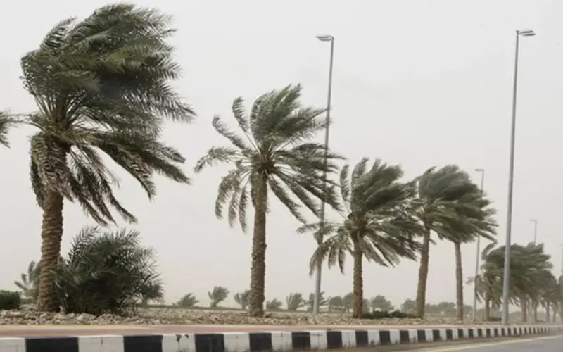 شبورة ورياح.. ما المتوقع بشأن حالة الطقس غدا الجمعة؟.. “الأرصاد توضح”