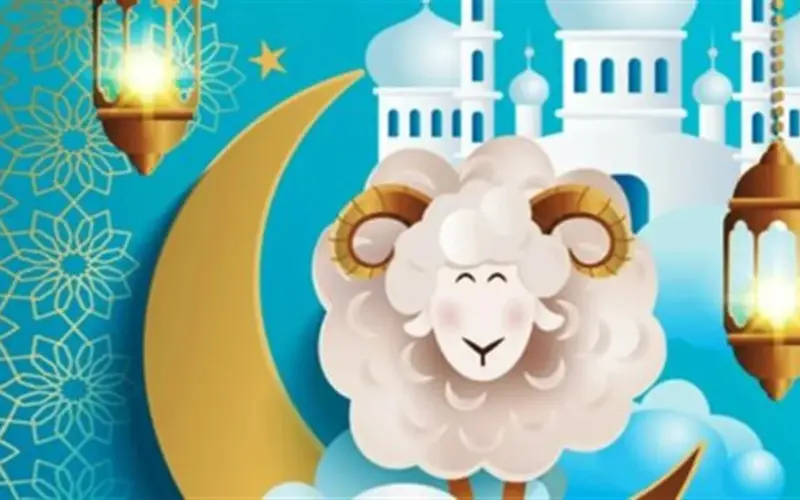 شروط قبول الأضحية وموعد الذبح الصحيح.. دليلك الكامل لاستقبال عيد الأضحى 2026