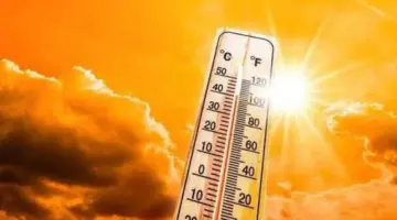 طقس الغد.. الأرصاد تحذر من شبورة كثيفة ورياح مثيرة للرمال ببعض المناطق